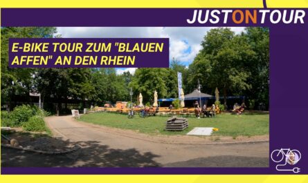 E-Bike Tour Blauer Affe Rhein