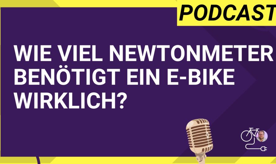 Wie viel Newtonmeter benötigt ein E-Bike wirklich?